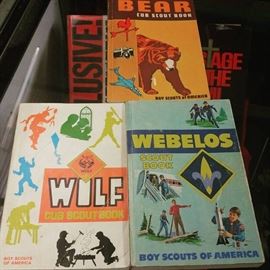 Boy Scout books