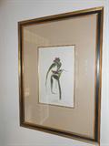 Audubon Warbler Print as issued by Havill