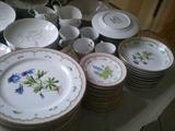 Wildflower George Betrand designed Botanical China