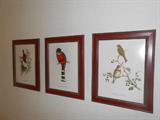 Bird Lithographs set of 3