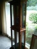 Lighted curio