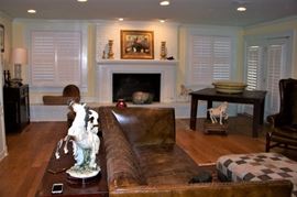 View of the large den