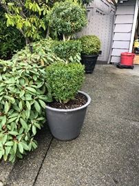 some of the pots included in the sale