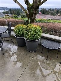 More pots and outdoor furniture