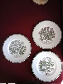 Tiffany and Co. Johnson Brothers "Herb"