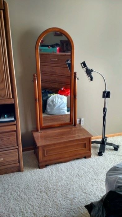 Mirror with storage chest