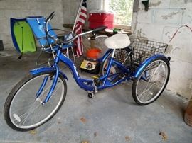 Schwinn adult tricycle
