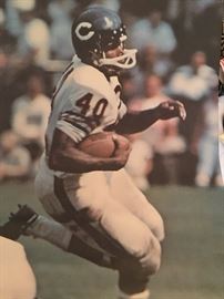 Gayle Sayers poster