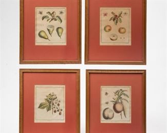 Lot 99: Four Antique Hand-Colored Fruit Engravings