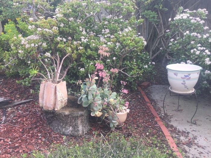 Outdoor pottery