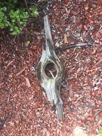 Driftwood