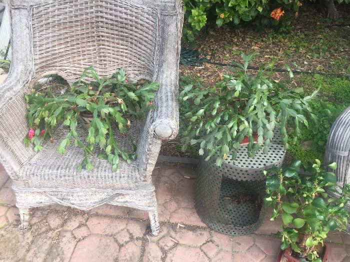 Outdoor items