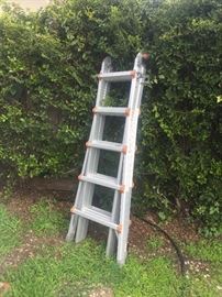 Fruit tree ladder