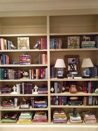 Lot's o' goodies line the bookshelves, including a wide range of reading interests. 