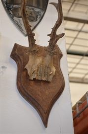 Chamioux Antlers $45