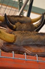 Horns mounted set $160