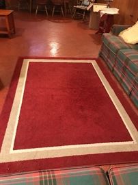 Area rug - perfect condition