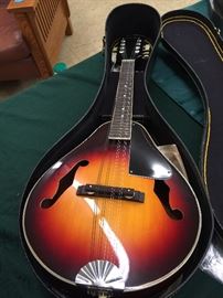 Carlos Madolin, Needs Work