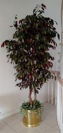Faux Ficus Tree 92" high