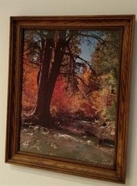 Framed Fall Photo, 19" by 23"