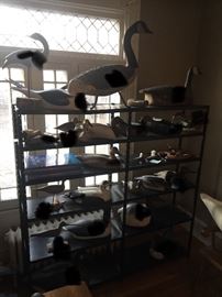 Goose decoys from Prince Edward Island, pair of Mason mallards, shore birds, Madison Mitchell duck, Harry Jobes cork swan