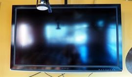 Olevia 64" TV, Ceiling Mounted