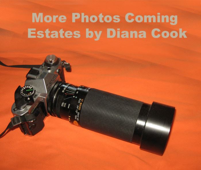 Diana Cook Estate Sales