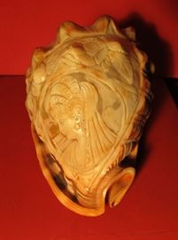 Genuine Italian Hand Carved Cameo on Specimen Cassis Rufa Shell