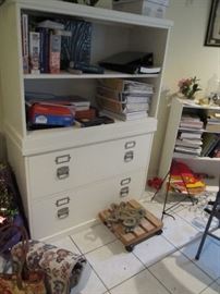book case and file cabinet  plus nursing books