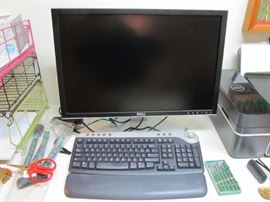 computer monitor 