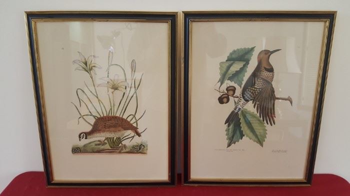 Botanical & Birds Framed Art https://ctbids.com/#!/description/share/89020
