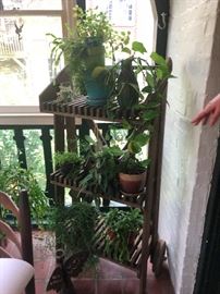 We have Plants. Very well loved!