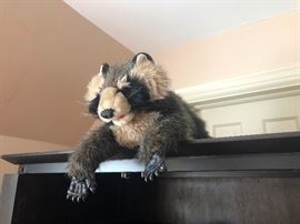 BEWARE of Stuffed CRITTER!