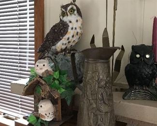 Who doesn't like Owls! 