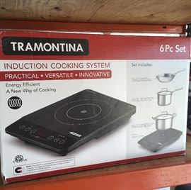 Induction cooking system