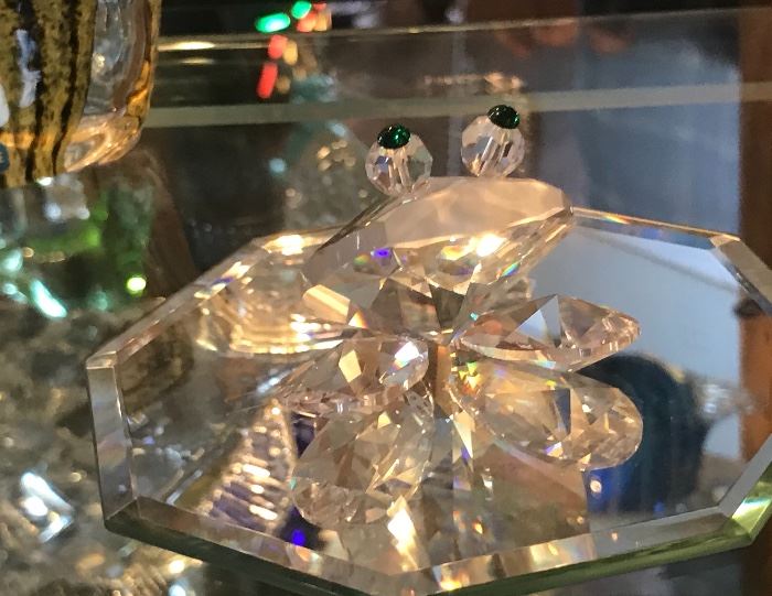  Crystal frog 