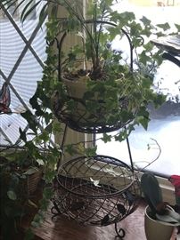 Plant stand and plant