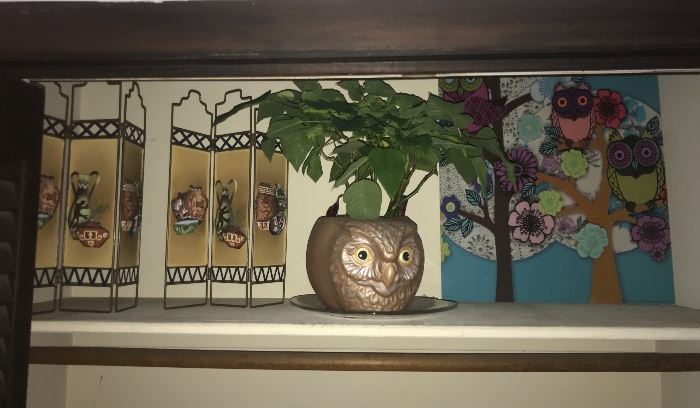 Owl  and plant