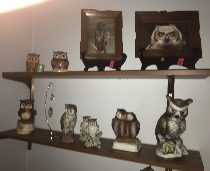 More owls
