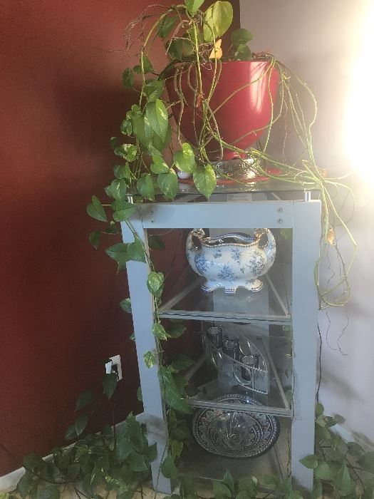 Corner stand with plant and other accessories $ 50:00