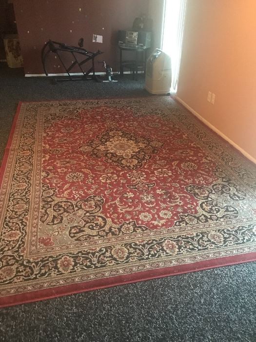 Large rug $100:00