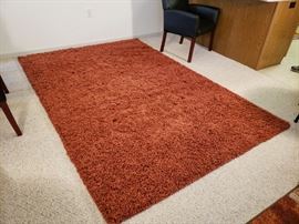 Area Rug  Terracotta Color