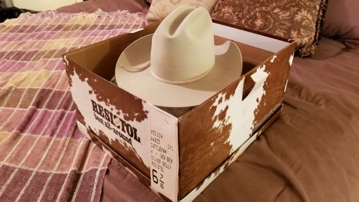 Stetson Cowboy hat #2