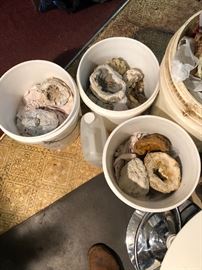 New Unsorted Specimen geodes 