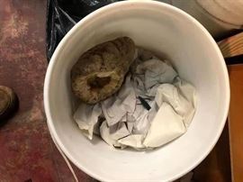 Specimen Geodes 