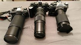 We have many over 500 cameras including Brands like Kodak,Canon and Nikon