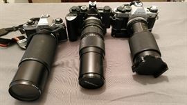 Nikon, Olympus, Canon 35 mm Cameras 