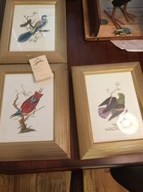 6 bird prints from Suniland Furniture