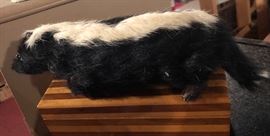 REAL STUUFED SKUNK