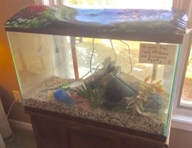 30 Gallon Fish Tank